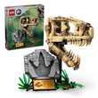 08132 - LEGO Jurassic World 76964 Dinoszaurusz maradványok: T-Rex koponya