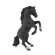 10008 - Ágaskodó fekete ló