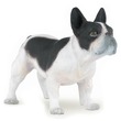 63367 - Papo fekete-fehér francia bulldog 54006